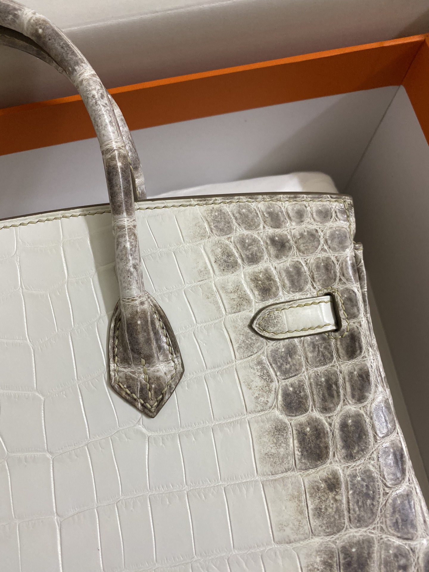 Hermes Himalayan Birkin 25CM Niloticus Crocodile Skin